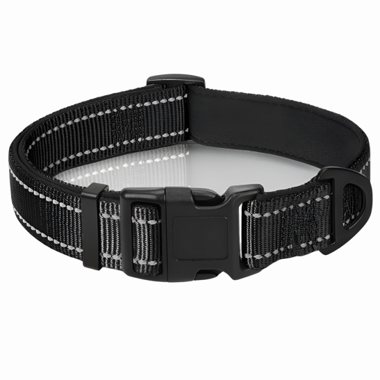 Neoprene Padded Nylon Reflective Dog Collar