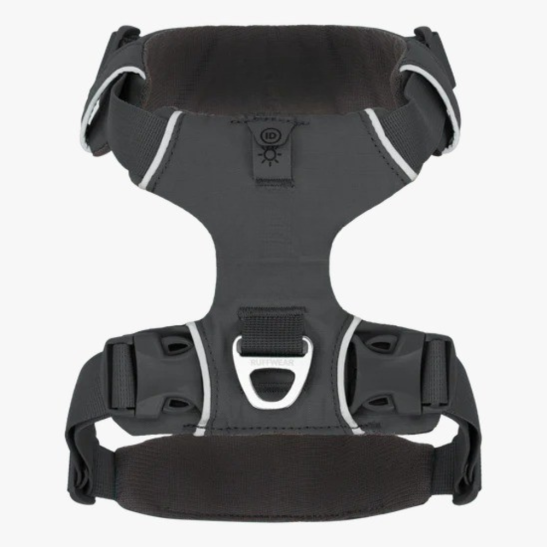 Adjustable Adventure Dog Harness For Outdoor Walking