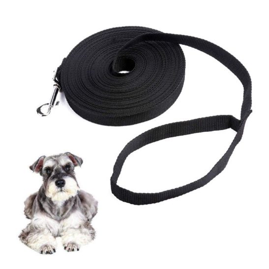 Nylon Black Dog Leash
