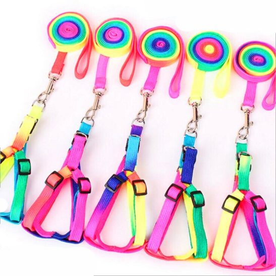 Small Pet Dog Multicolor Leash